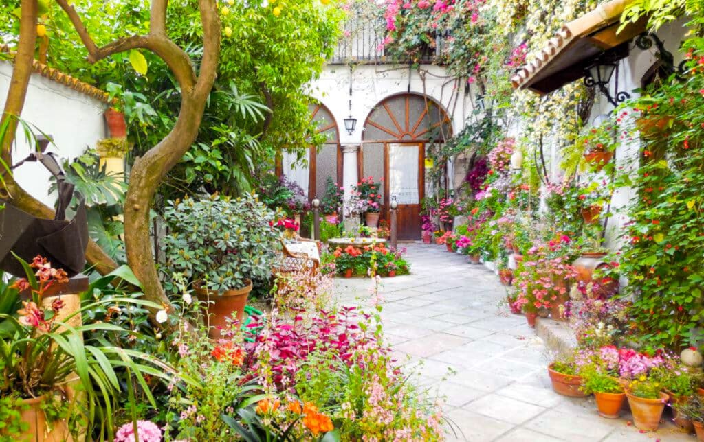 A patio in Cordoba, Spain
