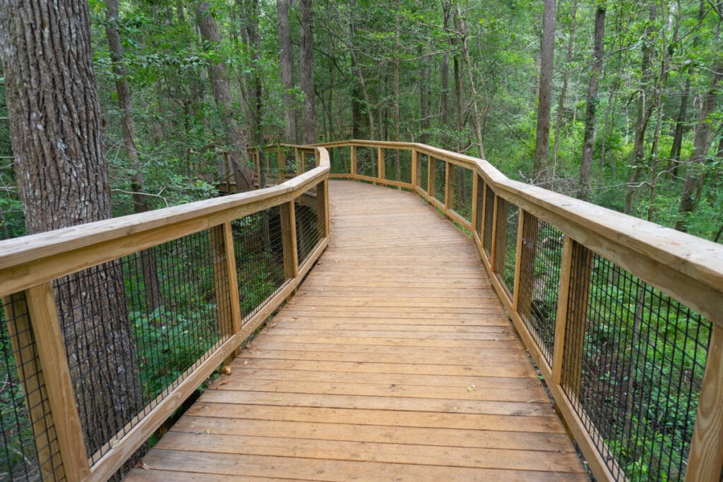 The Boardwalk Loop Trail in Congaree National Park, South Carolina