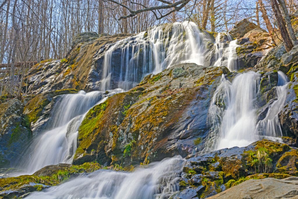 Shenandoah National Park waterfall in the spring