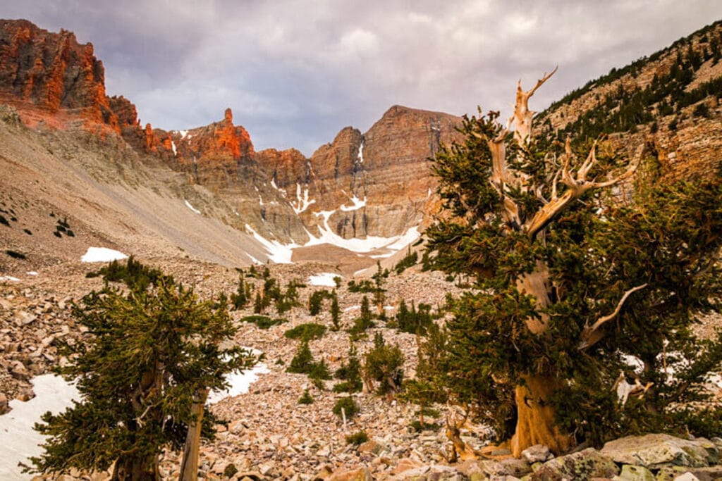 Great Basin National Park is  one of the epic places to visit in Nevada