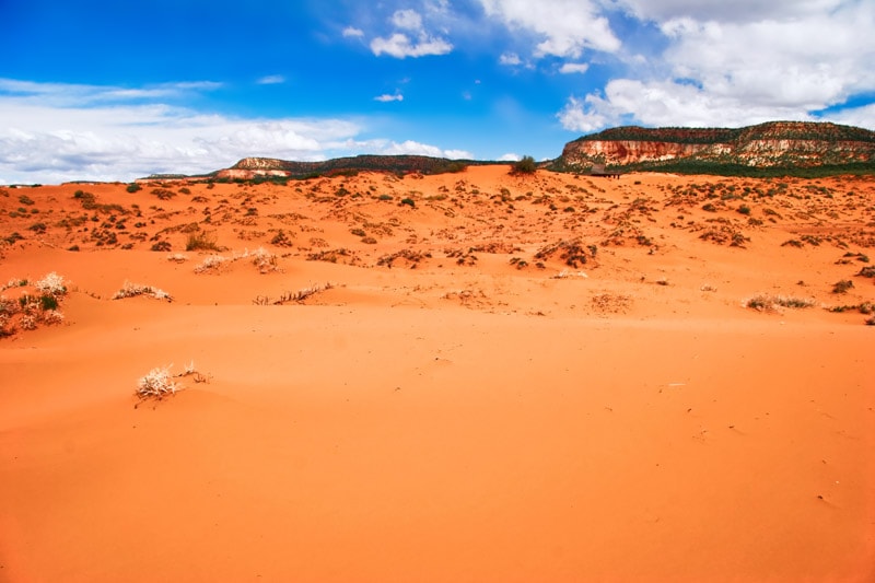 Coral Pink Sand Dunes State Park in Utah