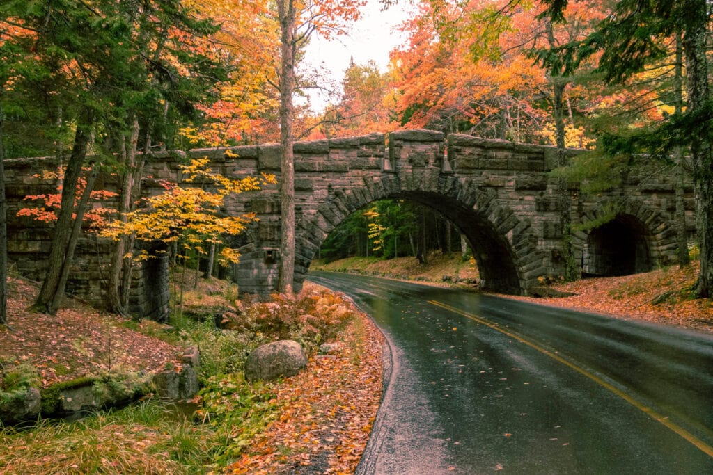 A carriage road in Acadia National Park, Maine, in the fall