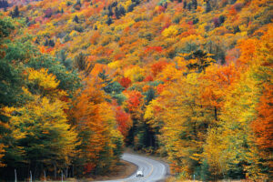 New England in the fall is one of the most epic East Coast road trips you can take!