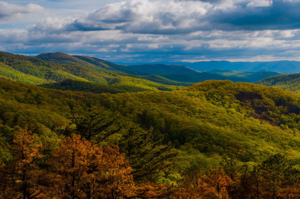 A view from Skyline Drive in Shenandoah National Park, Virginia