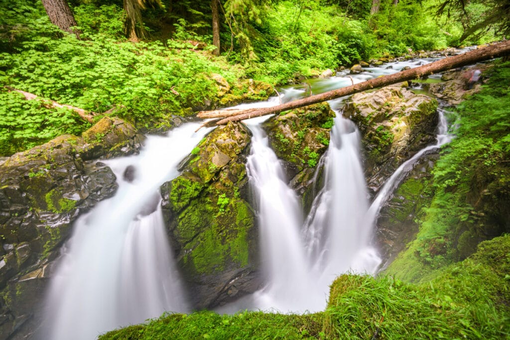 Sol Duc Falls in Olympic National Park in Washington