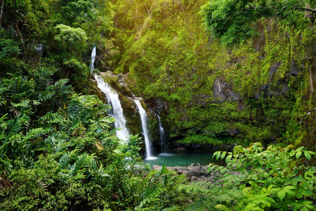 Waterfall on the Road to Hana in Maui Hawaii