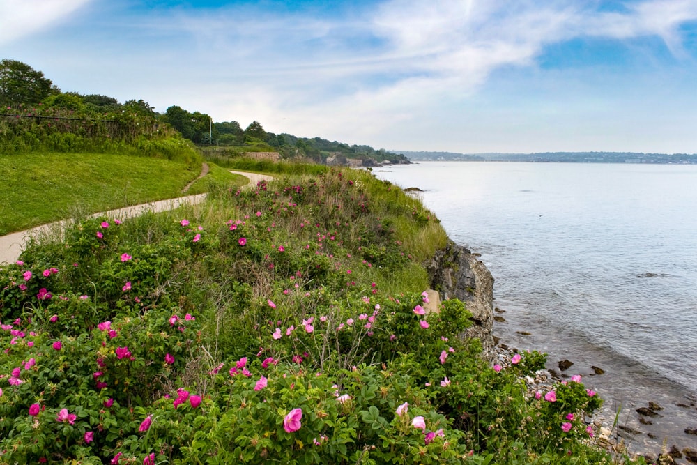 Cliff Walk in Newport, Rhode Island