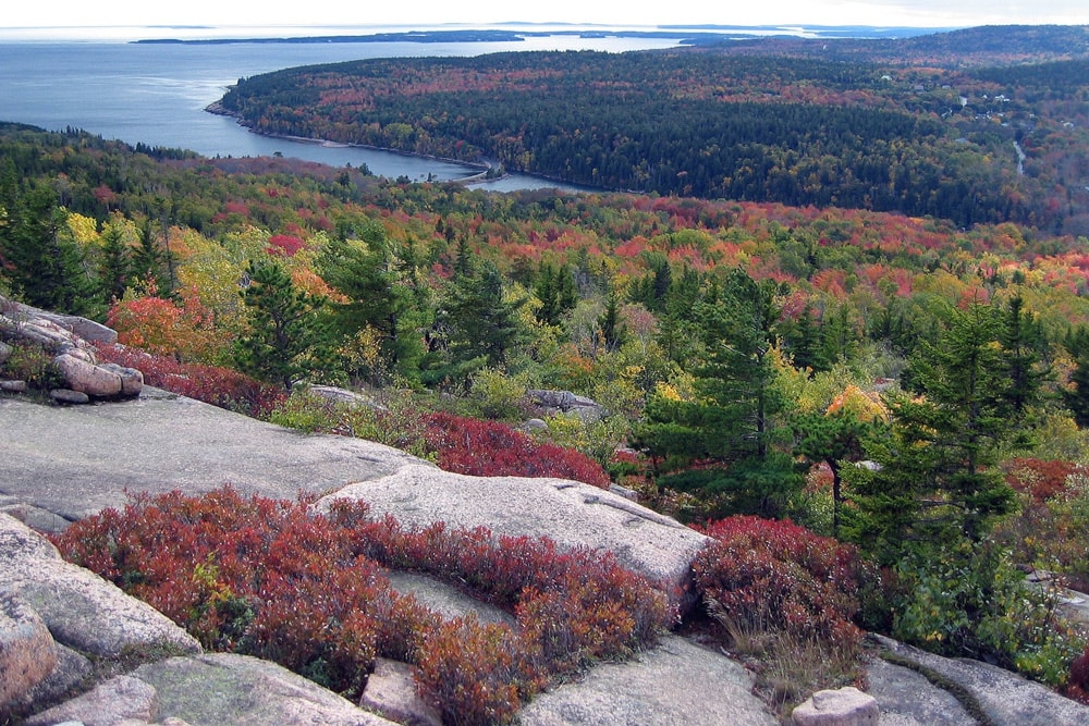 A view from Gorham Mountain in Acadia NP, ME
