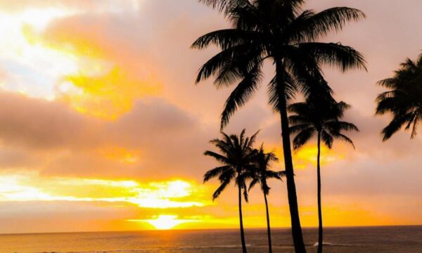 29 BEST Things to Do in Maui, Hawaii (Bucket List Ideas!)
