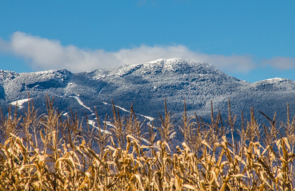 Mount Mansfield in Vermont