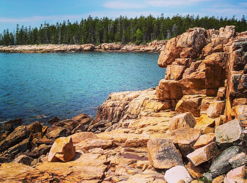The Ship Harbor Trail in Acadia National Park, Maine