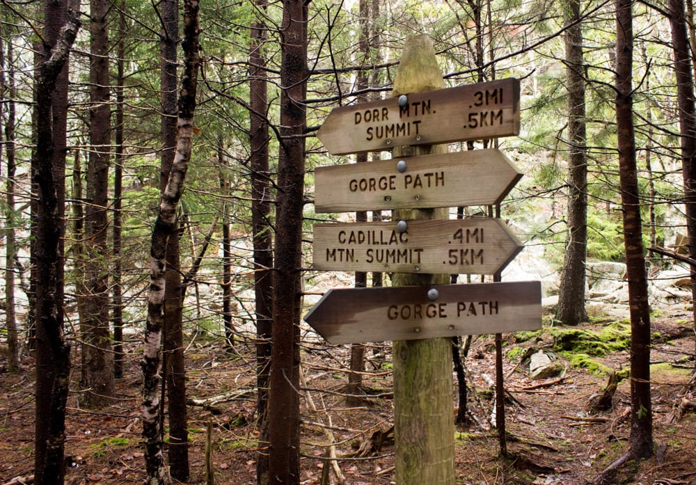 Trail Markers in Acadia National Park, Maine