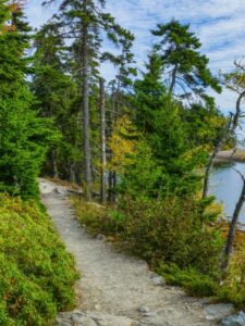 Ship Harbor Trail is one of the easiest and best hiking trails in Acadia National Park, Maine