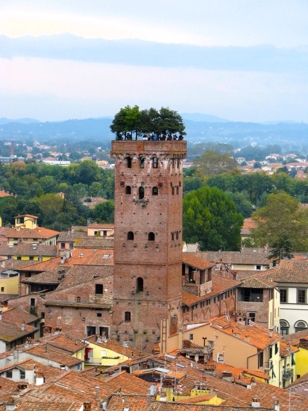 Torre Guinigi Lucca Italy