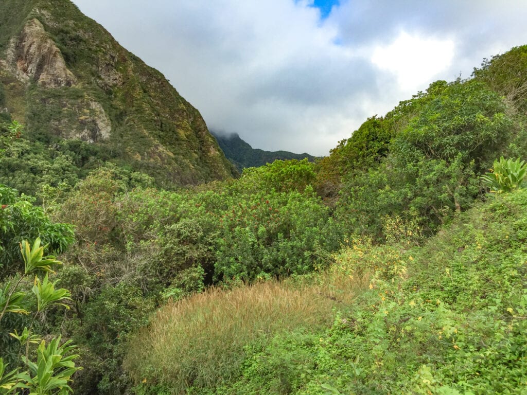 Landscape at Iao Valley in Maui
