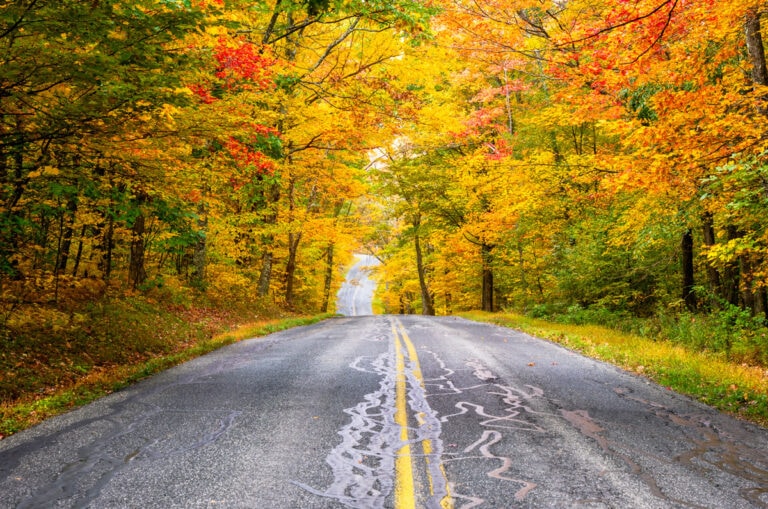 Best Fall Foliage in the USA: 22 Colorful Places to Go Leaf Peeping ...