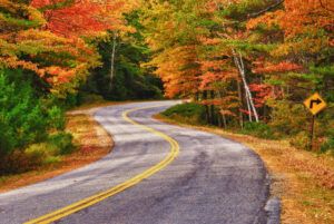 Fall colors along a road in the USA