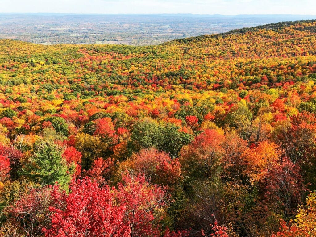 Fall in Minnewaska State Park, New York