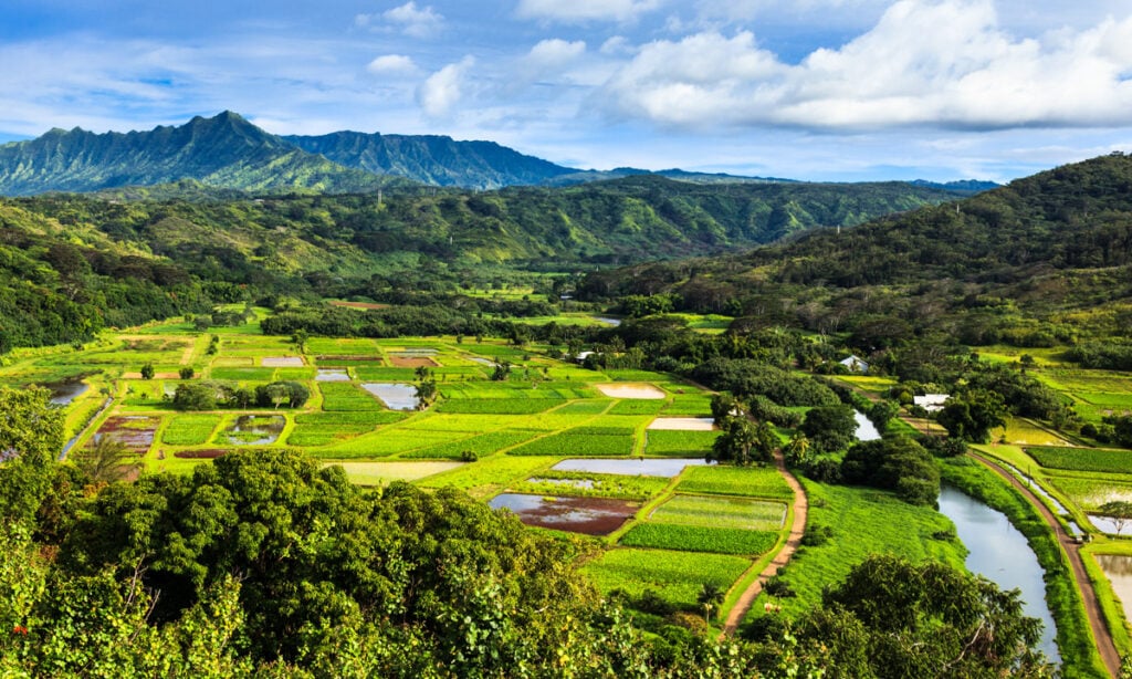 Hanalei Valley Lookout in Kauai, Hawaii