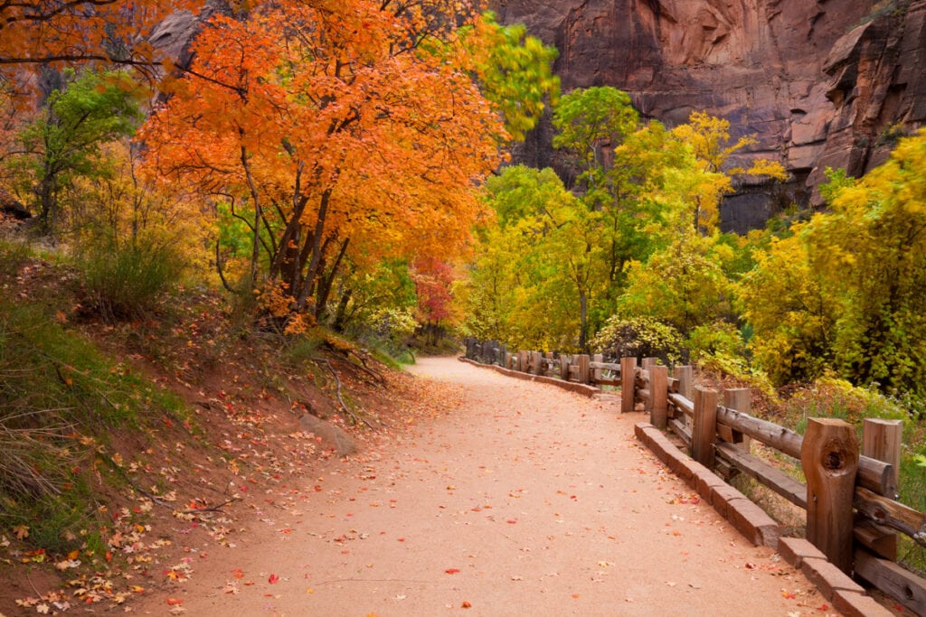 Hiking Zion National Park in Utah in the fall