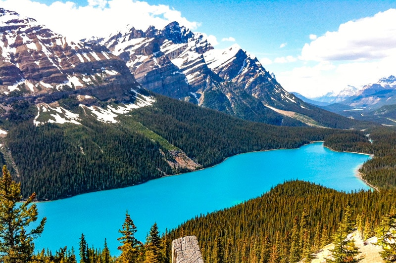 Peyto Lake is one of the most popular stops on the Icefields Parkway, Canada!