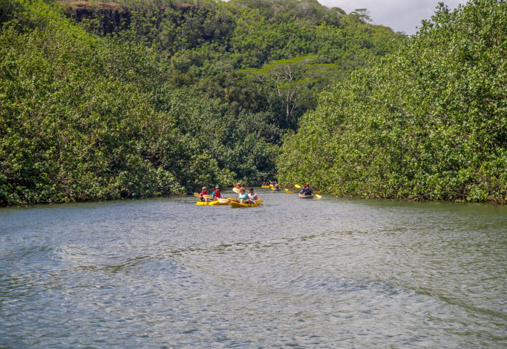 Kayaking the Wailua River in Kauai to Fern Grotto