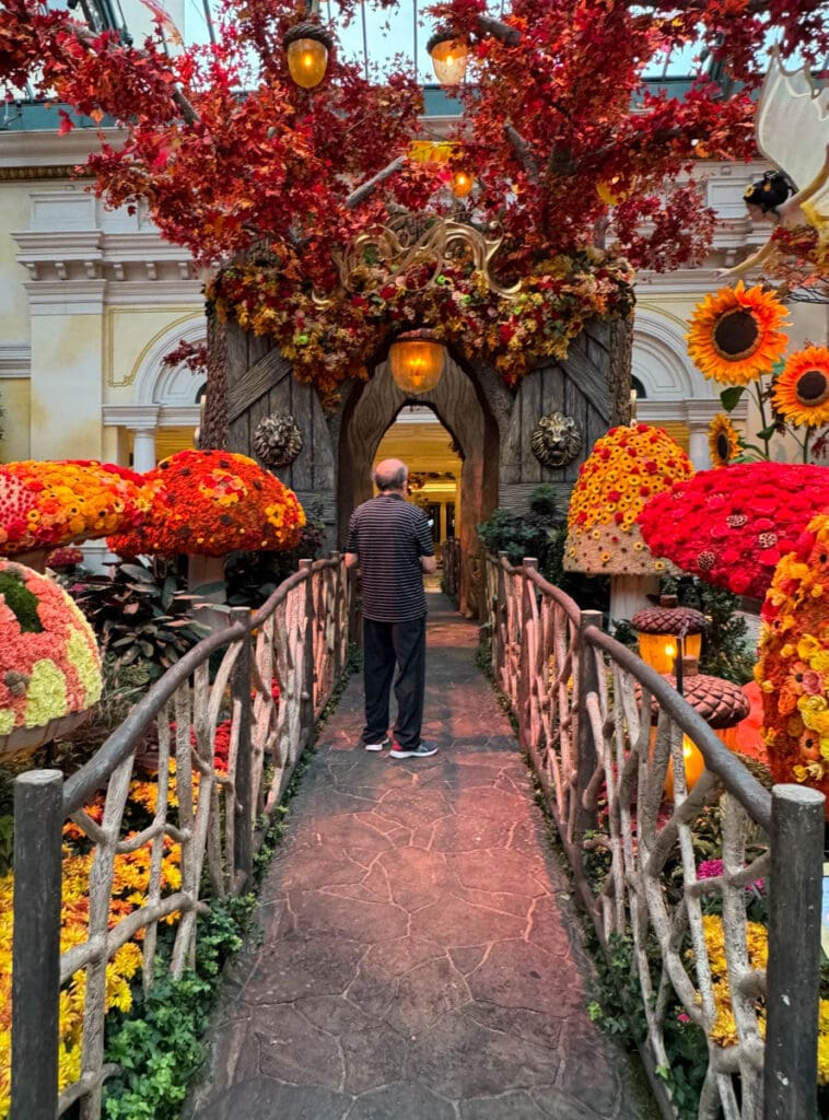 Fall display at the Bellagio Conservatory in Vegas