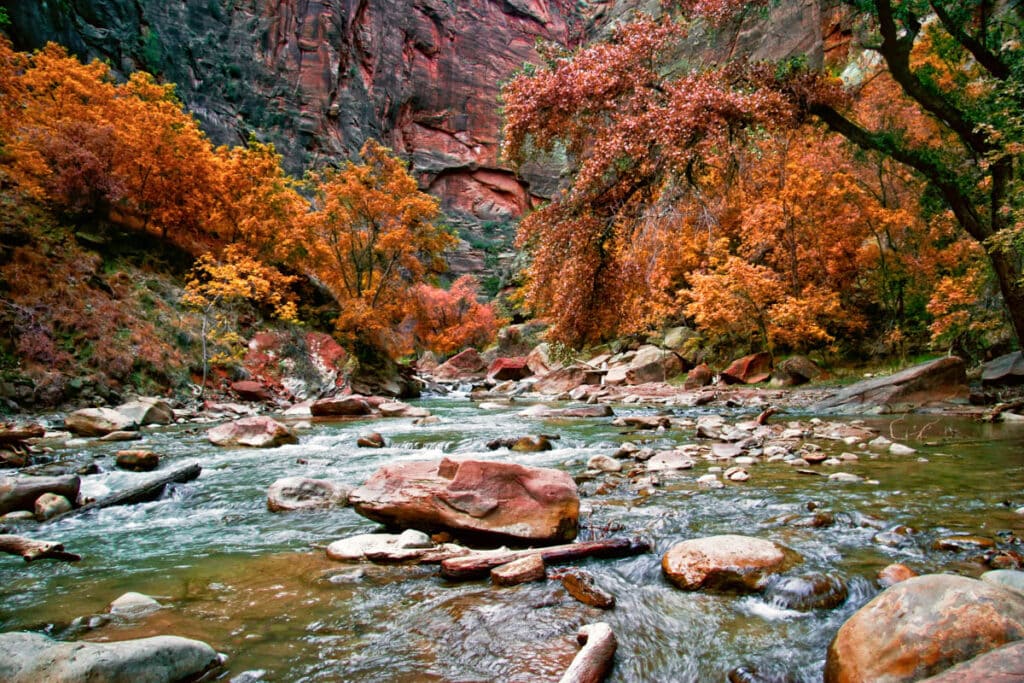 Fall in Zion National Park in Utah