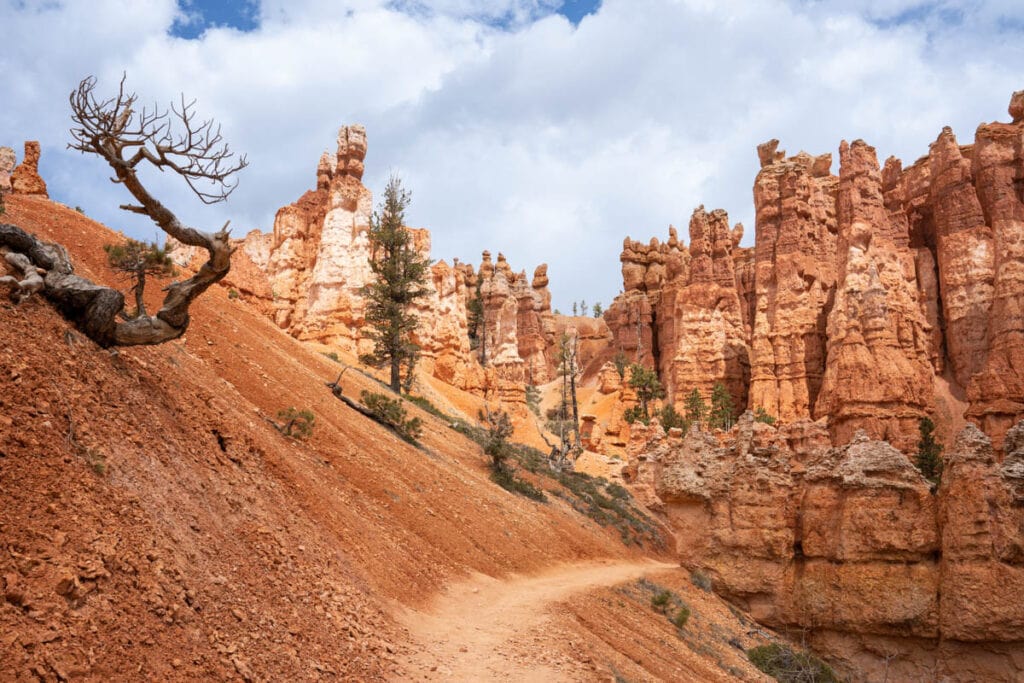 Queen's Garden Trail in Bryce Canyon National Park, Utah