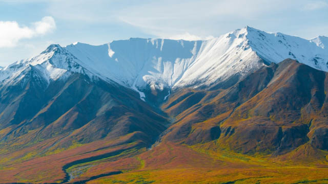 Denali NP Alaska