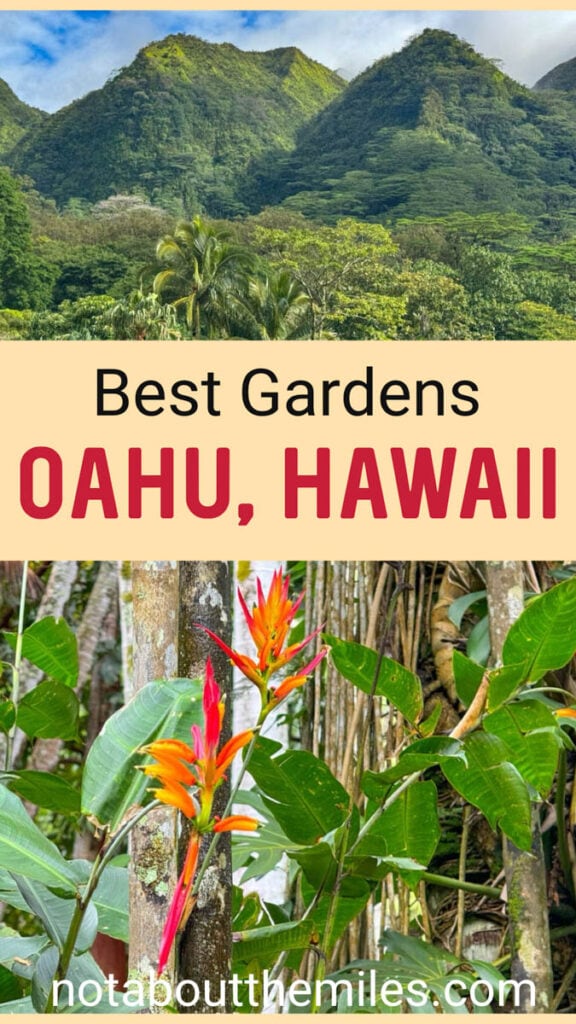 Discover the best public gardens in Oahu to put on your itinerary for the island. From lush Waimea Valley in the north to the unique Koko Crater Botanical Garden in the bowl of the crater and the very large Ho'omaluhia Botanical Garden on Oahu's east side, there are many must-visit botanical gardens in Oahu! #oahutravel #oahuhawaii