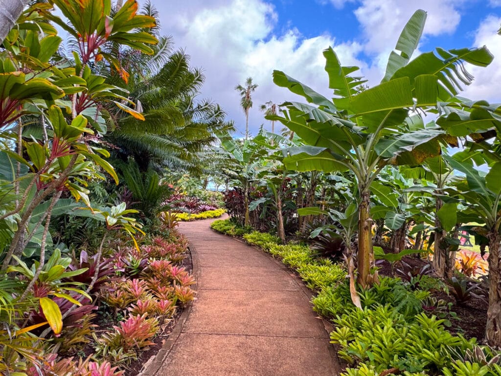 Dole Plantation Garden on Oahu Island in Hawaii