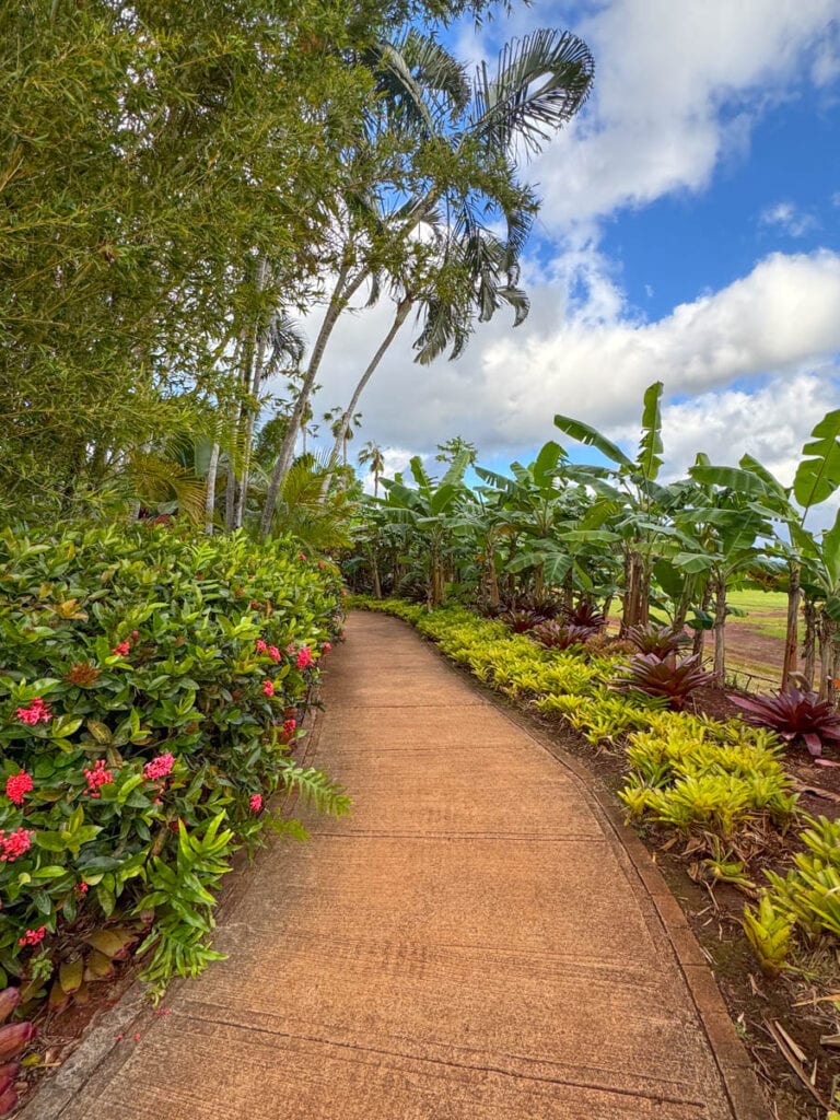 Walking the Dole Plantation Garden in Oahu