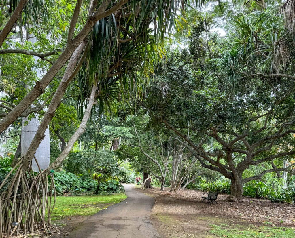 Walking through Foster Botanical Garden in Oahu, Hawaii