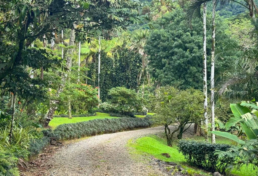 Walking the main trail in Lyon Arboretum, one of the best gardens in Oahu you can visit!