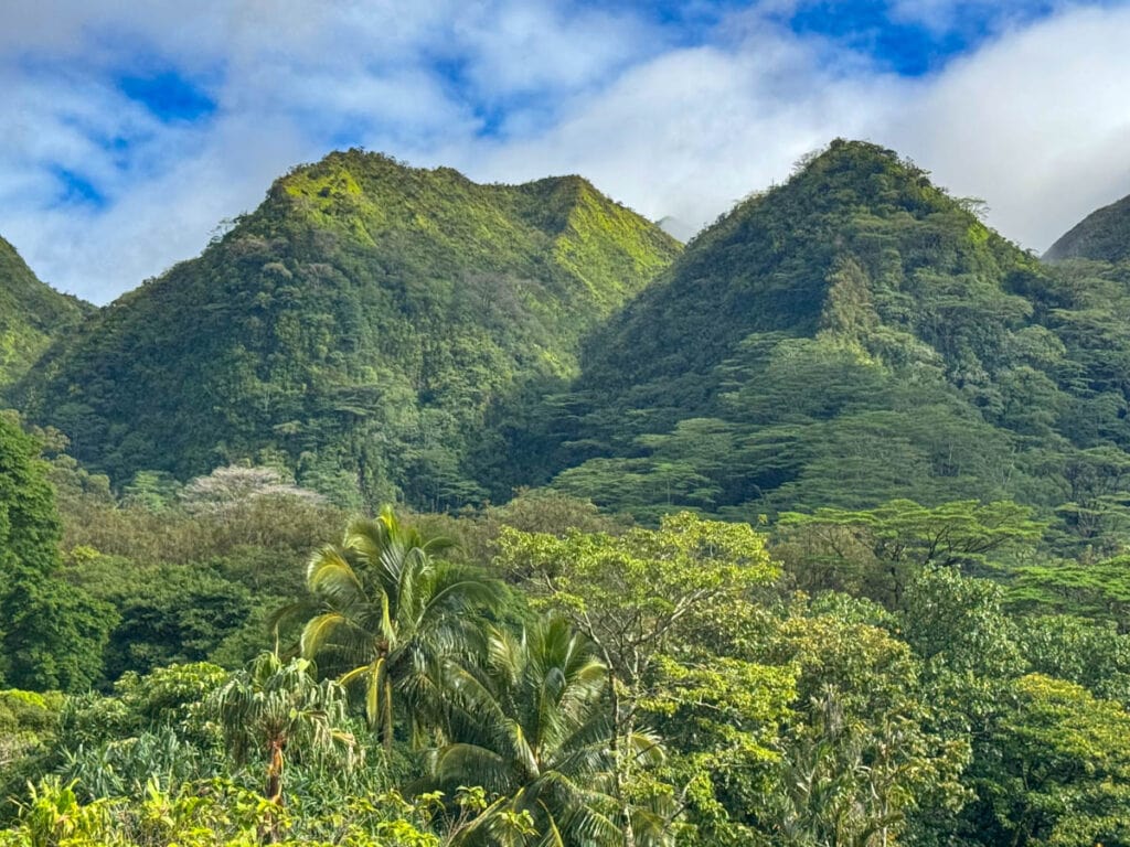 Mountain views from the Lyon Arboretum in the Manoa Valley of Oahu, Hawaii