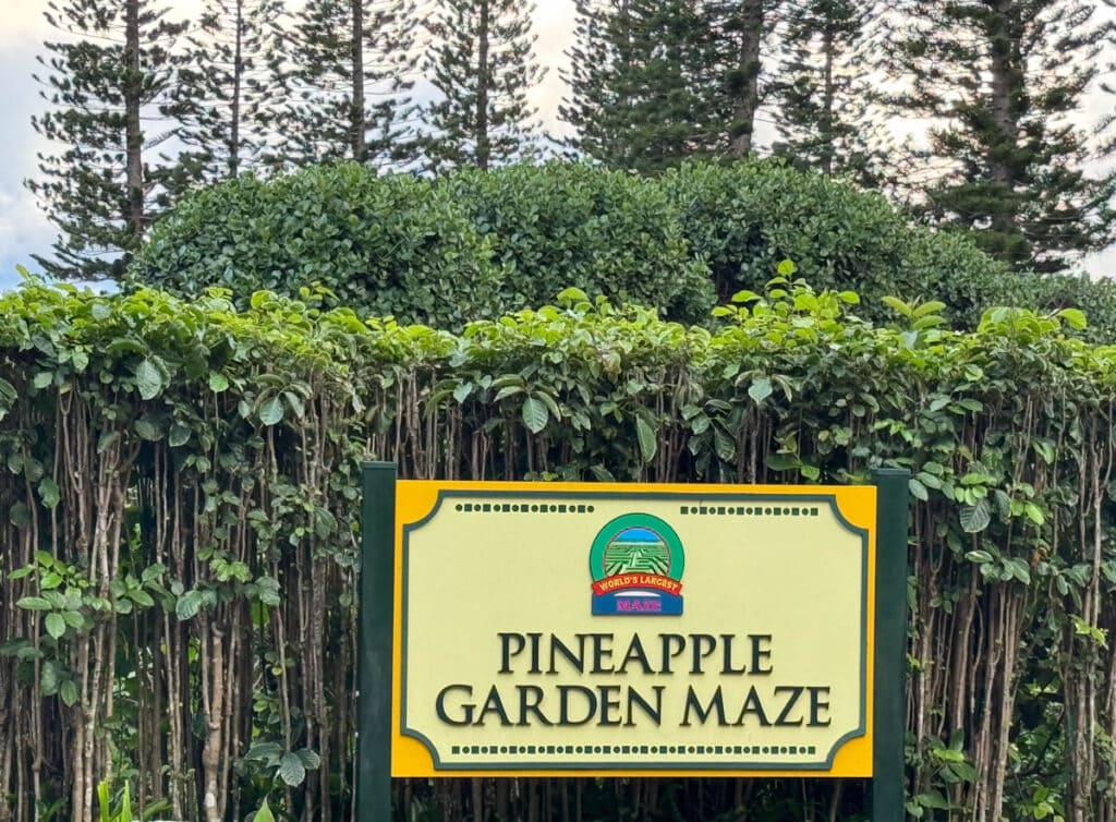 The Pineapple Garden Maze at the Dole Plantation in Oahu, Hawaii