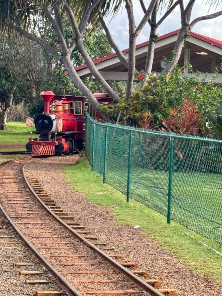 Pineapple Express Train Ride Dole Plantation Oahu. HI