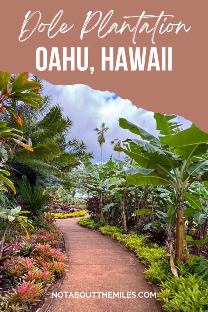 Everything you need to know to visit the very popular Dole Plantation on Oahu, Hawaii. Ride the train, do the maze, enjoy a Dole Whip, more!