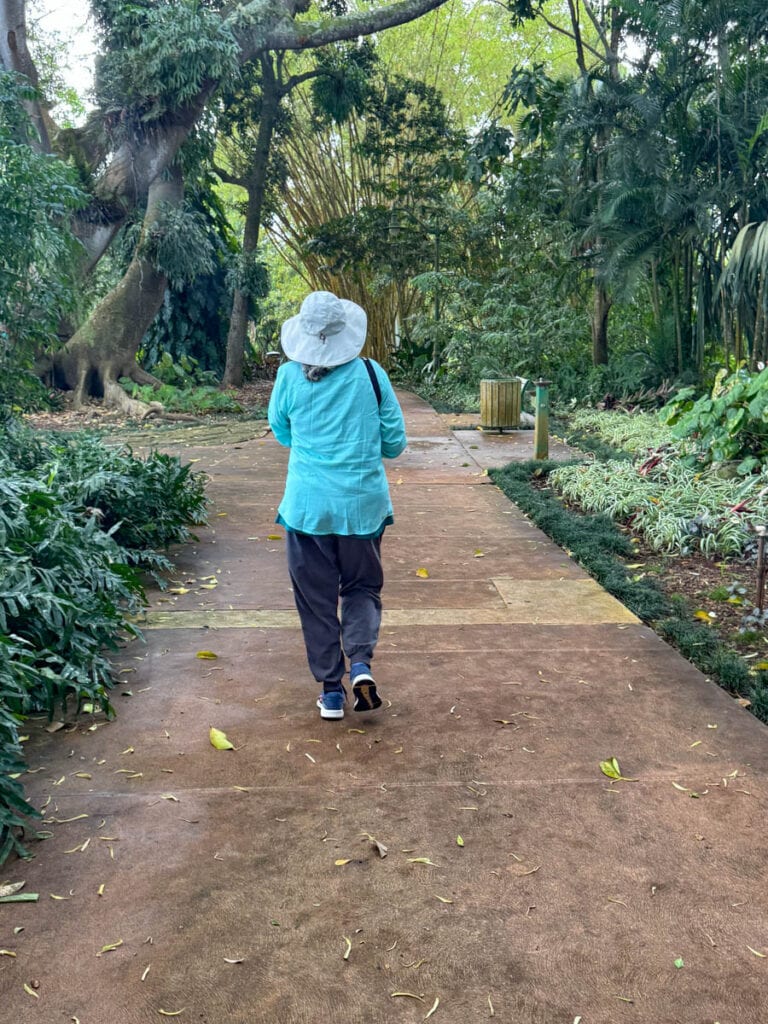 Strolling through Wahiawa Botanical Garden in Oahu, Hawaii